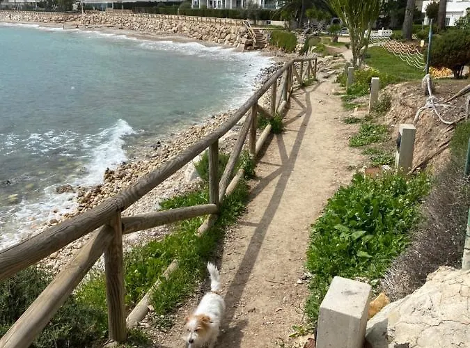 Beachgate 2 Acceso Directo A La Playa